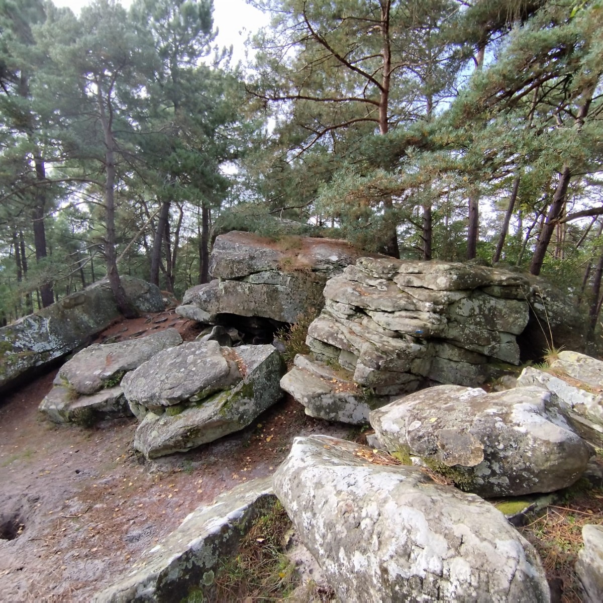 RANDO FORET DE FONTAINEBLEAU