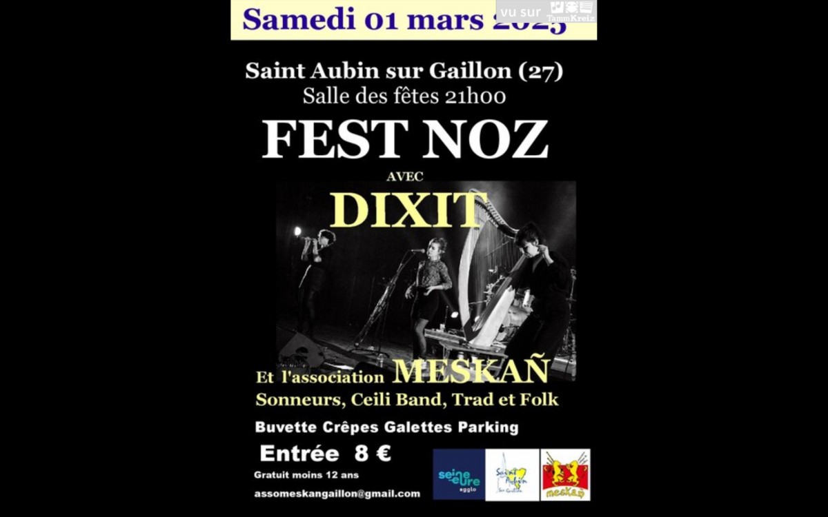 FEST NOZ avec DIXIT et l'association MESKAN