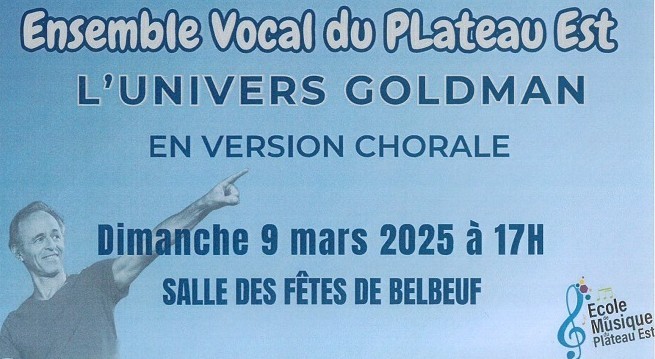Concert : l'Univers Goldman