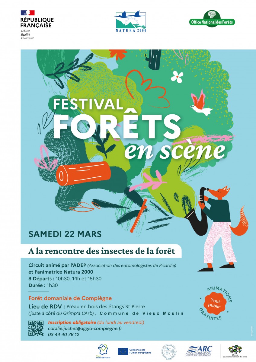 A la rencontre des insectes de la forêt