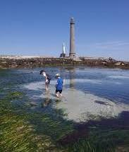 Balade à pied jusqu'à l'île vierge