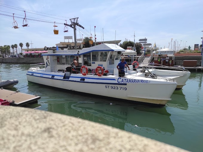 Balade en bateau en soirée et sardinade
