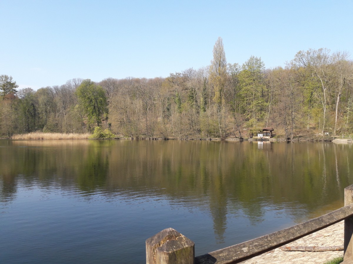Marche Bois de St Cucufa