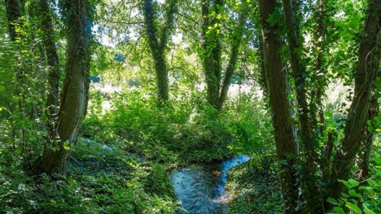 JOURNEE NATURE ET CUEILLETTE DE LEGUMES