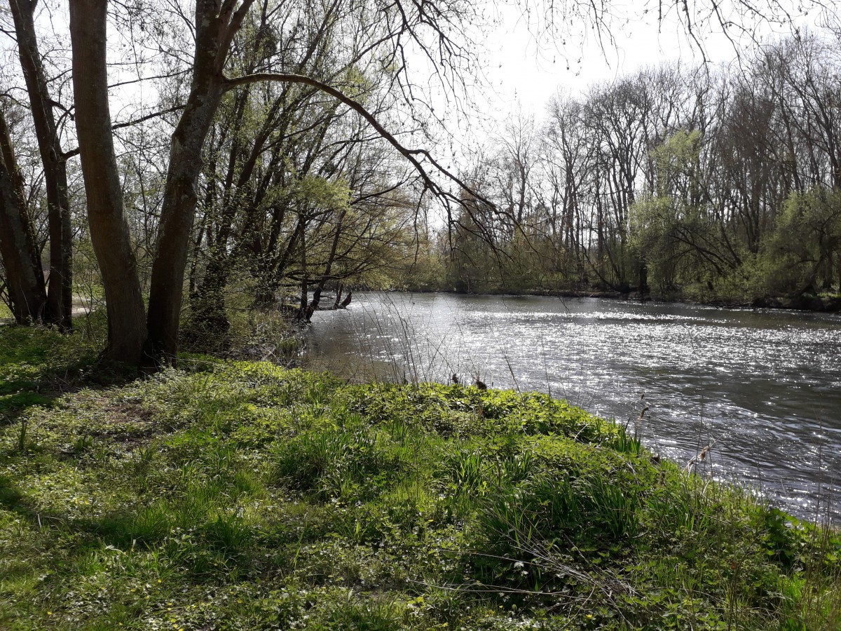 La plaine de Sorques et plus .