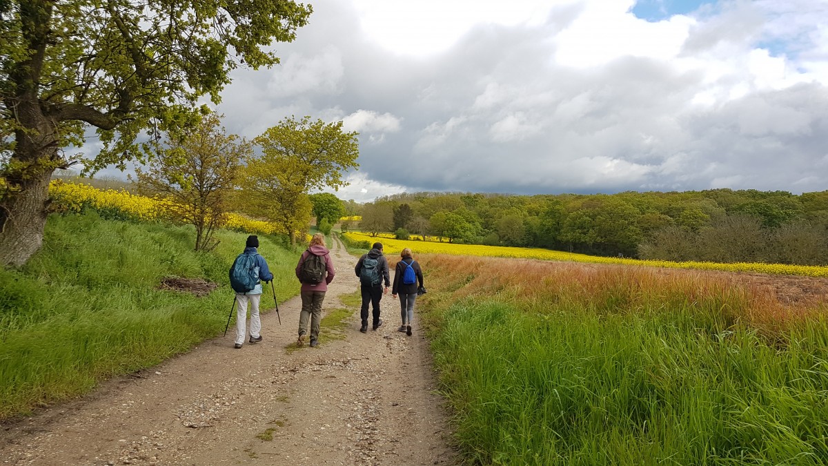 Marche 8 km ou 15 km autour de Génicourt