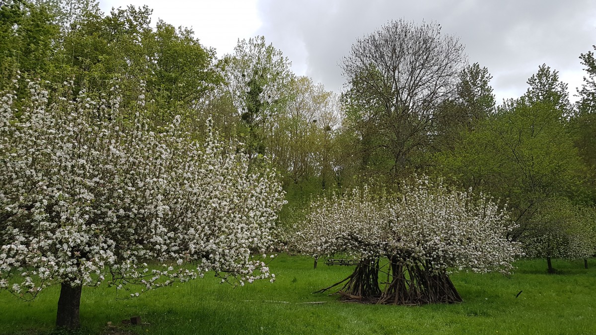 Marche 13,5 km autour du Bois de Morval