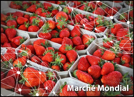 marche de la fraise à LECELLES