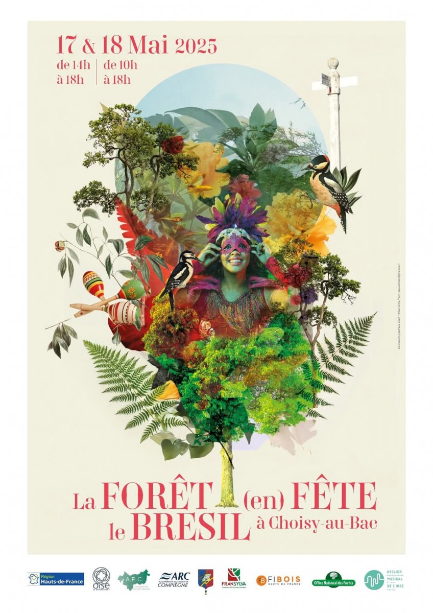 La forêt en fête le Brésil