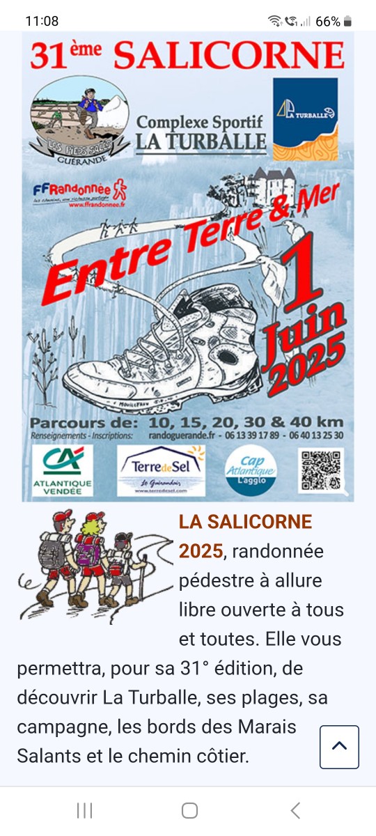 La Salicorne 2025