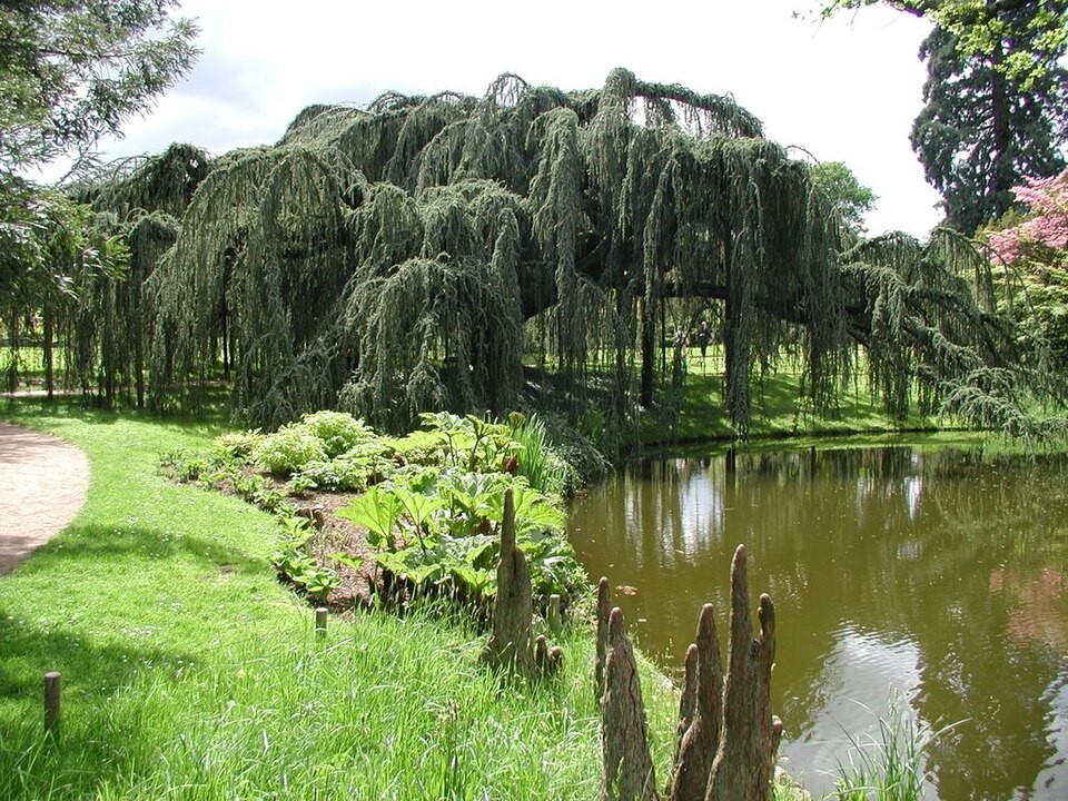 Découvrir site Parc de Sceaux - Arboretum de la Vallée du Loup