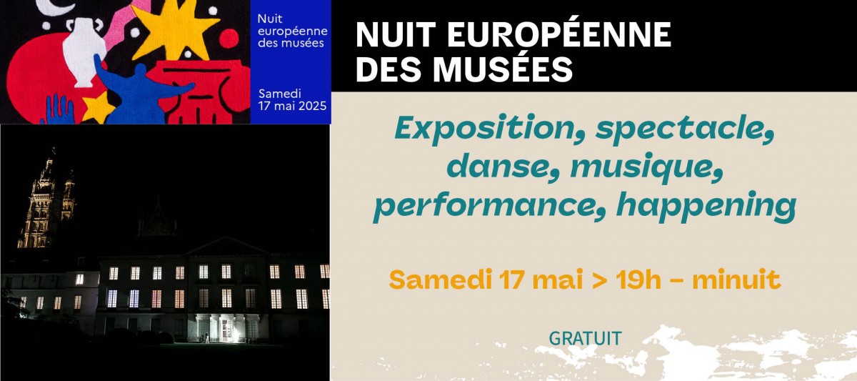 Nuit des musée musée des beaux arts