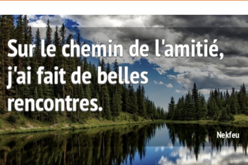 Réunion d'information sur l'association AFS