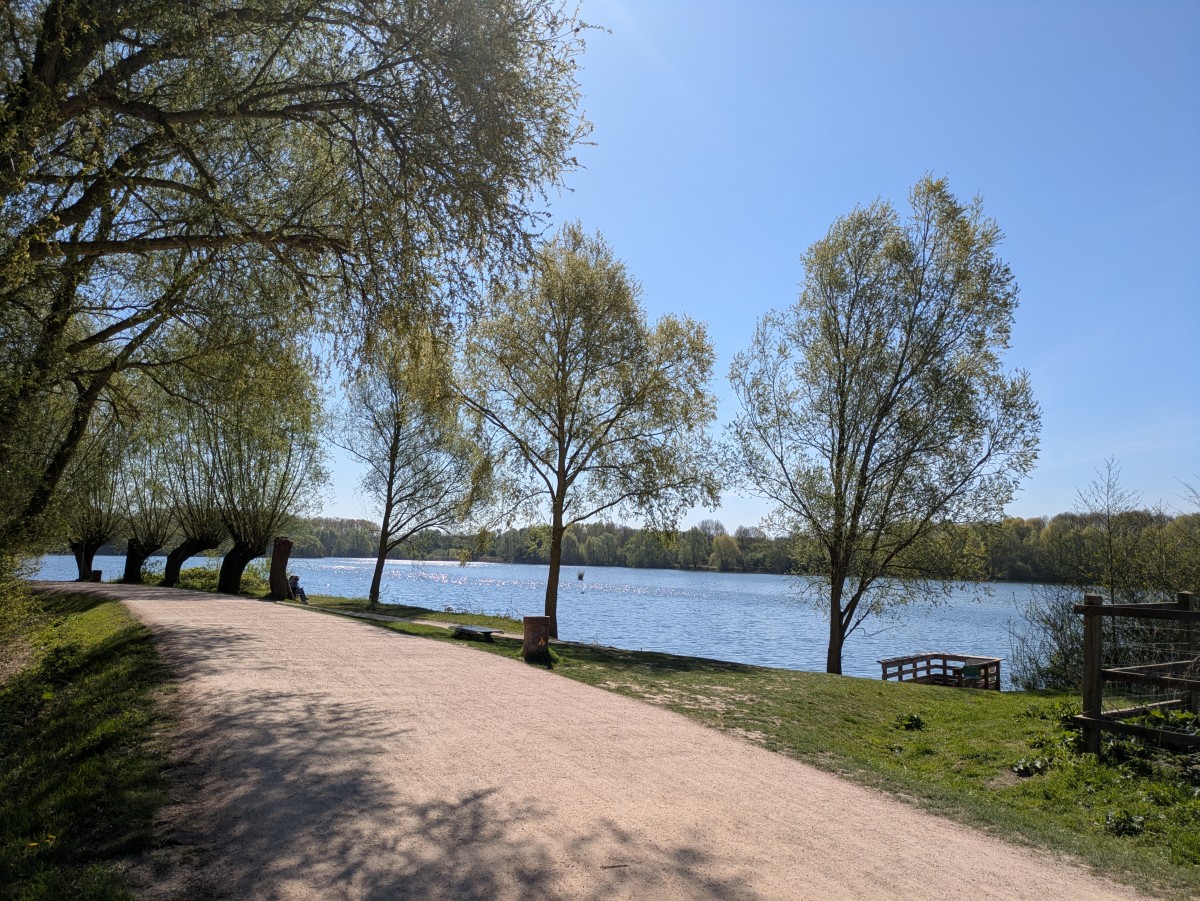 Balade au lac du héron Villeneuve-d'Ascq