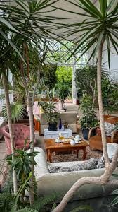 Partager un verre ds un lieu atypique et rempli de plantes