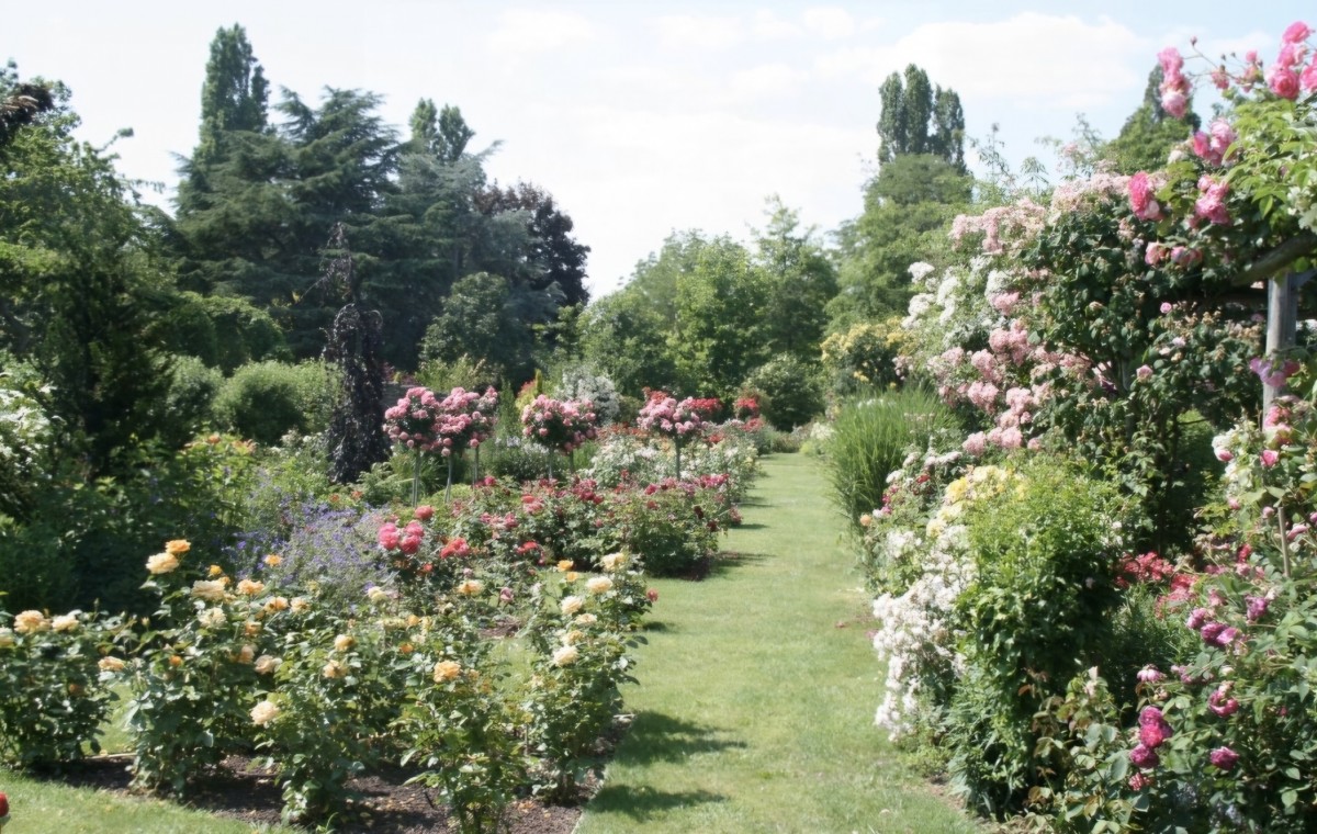 Le jardin des Menard. Gasville-Oisème