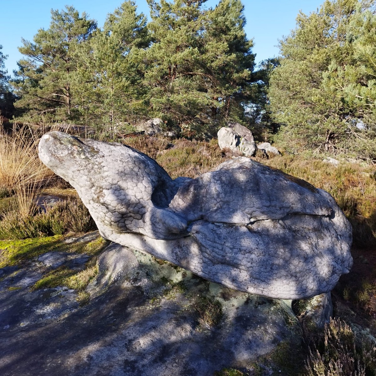 RANDO FAISANDERIE