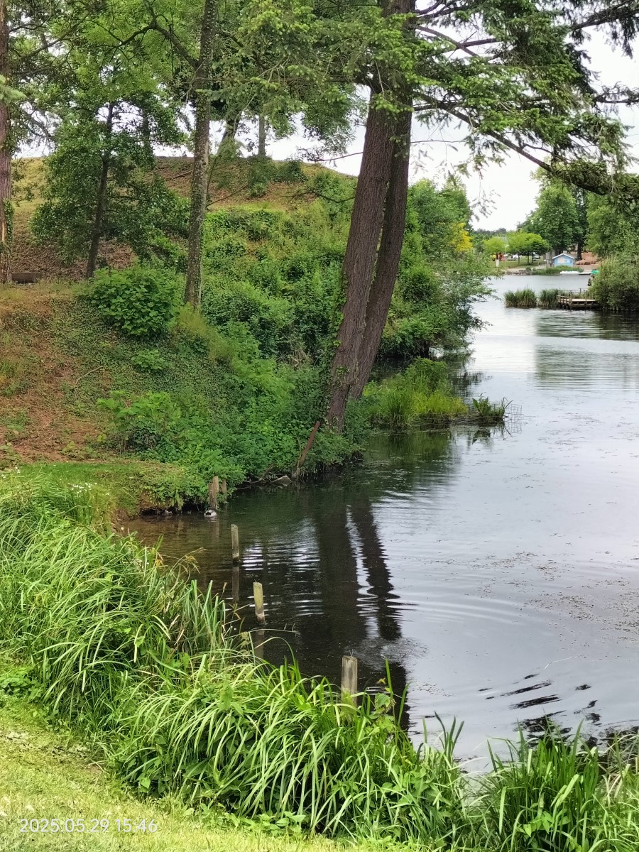 Marche à Le Quesnoy...