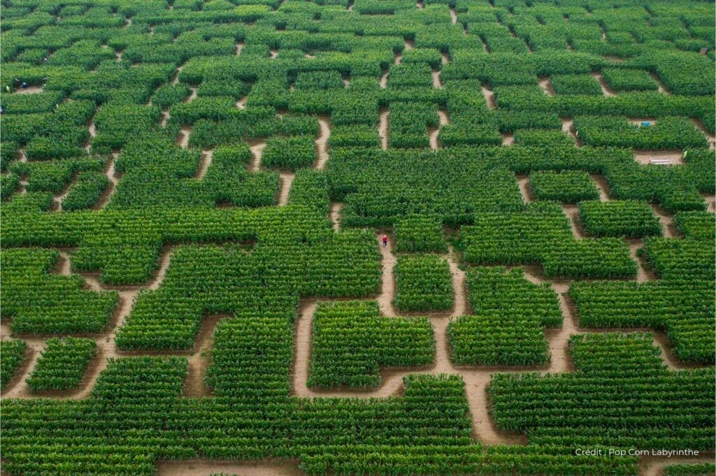LABYRINTHE NOCTURNE