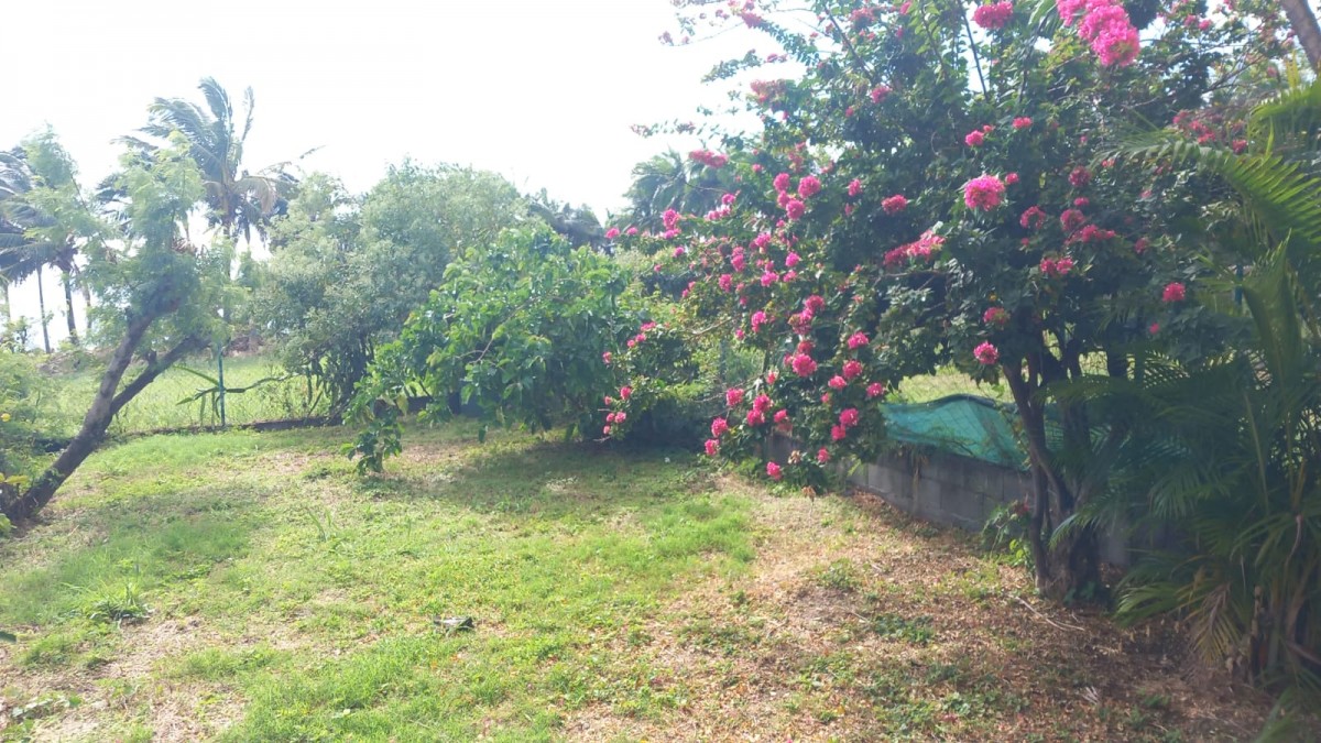 Guinguette à  Yerres