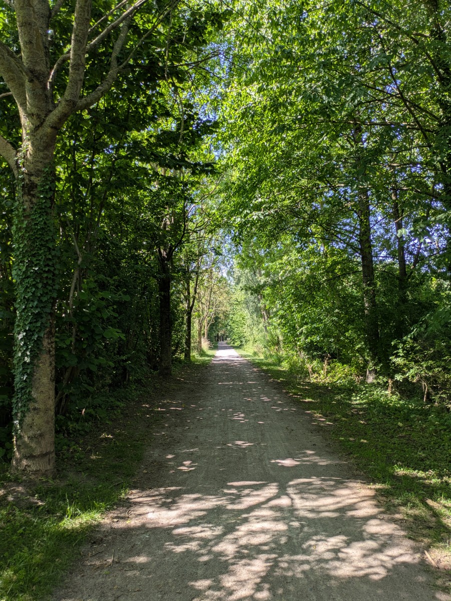 Randonnée pédestre le long de la Marque, départ de Chéreng. Environ 8,3 km.