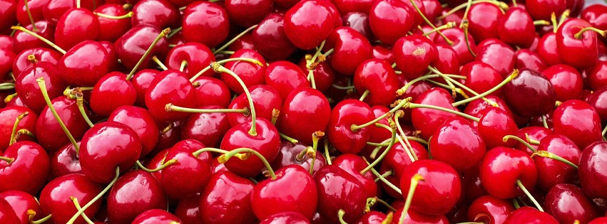 Venez célébrer la cerise