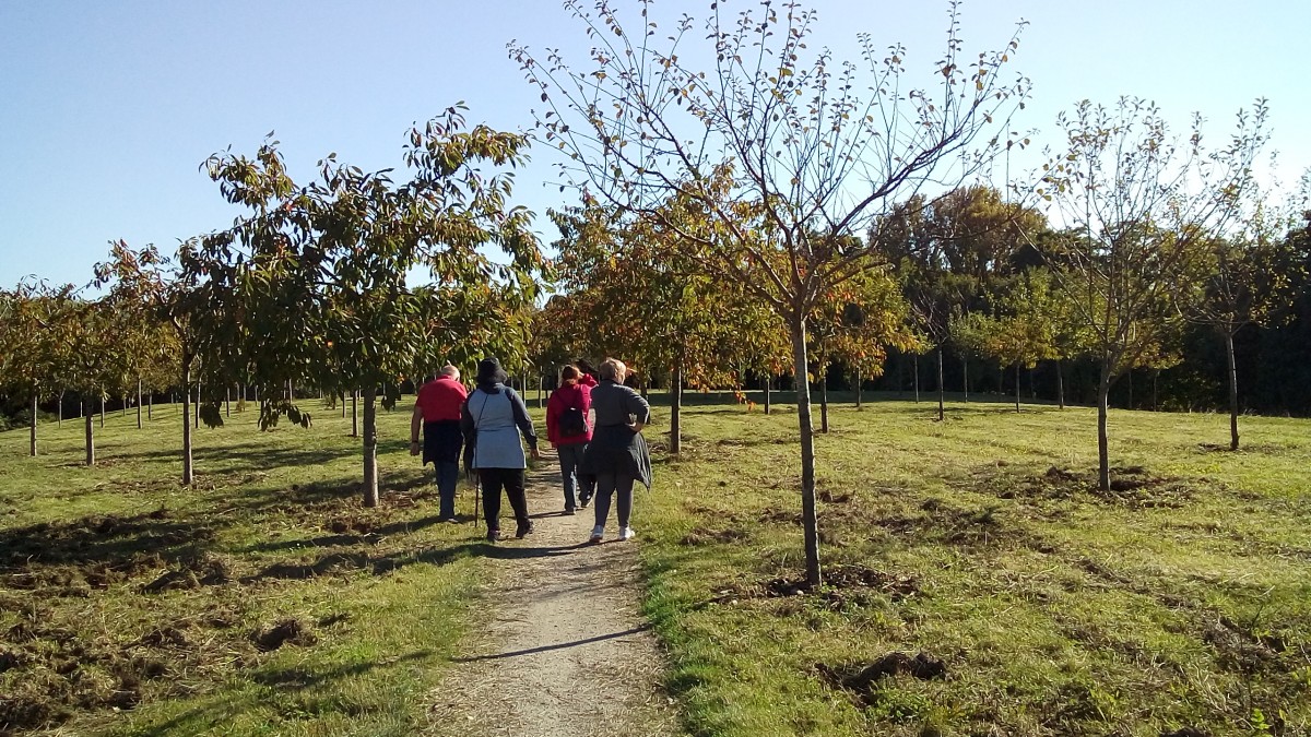 Marche 8 km Le plateau d'Andilly