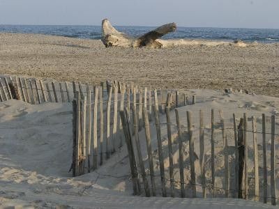 Balade plage Piamanson et diner à Port Sait Louis du Rhone