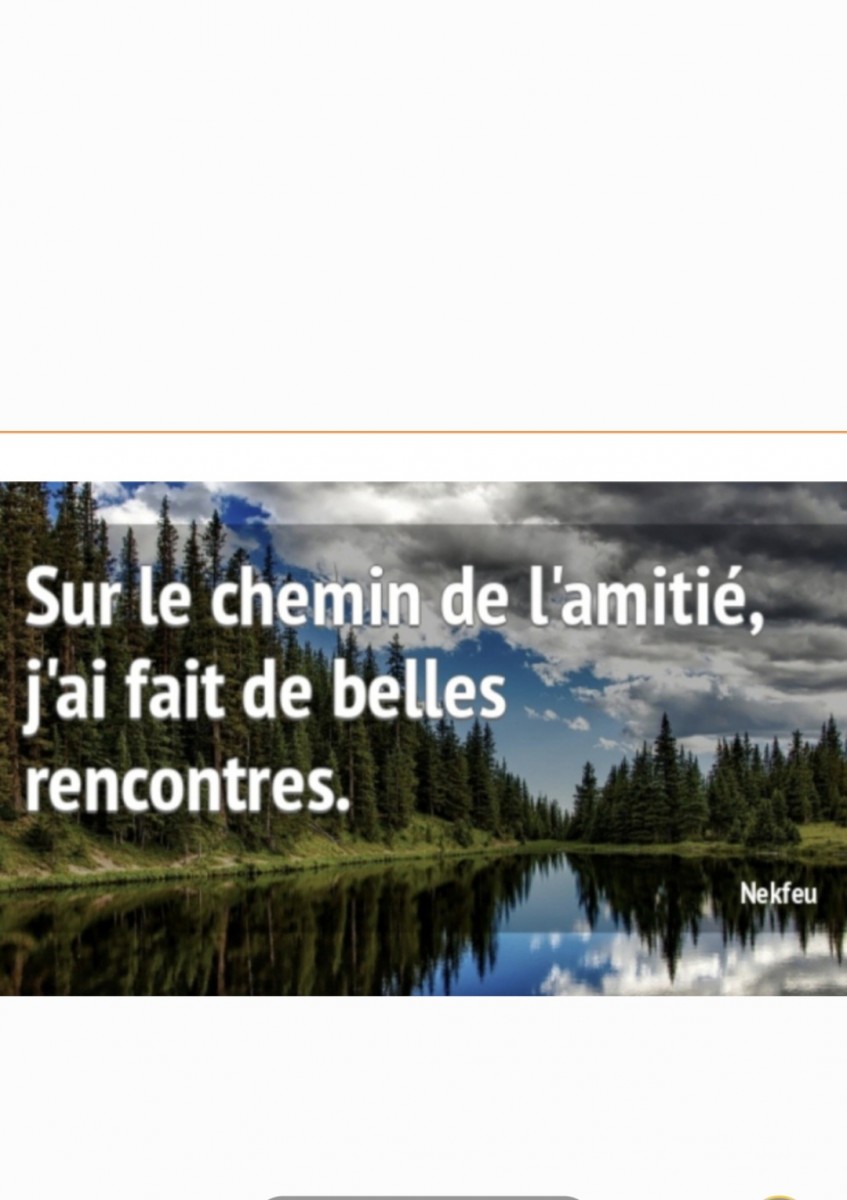 Réunion d'information sur l'association AFS