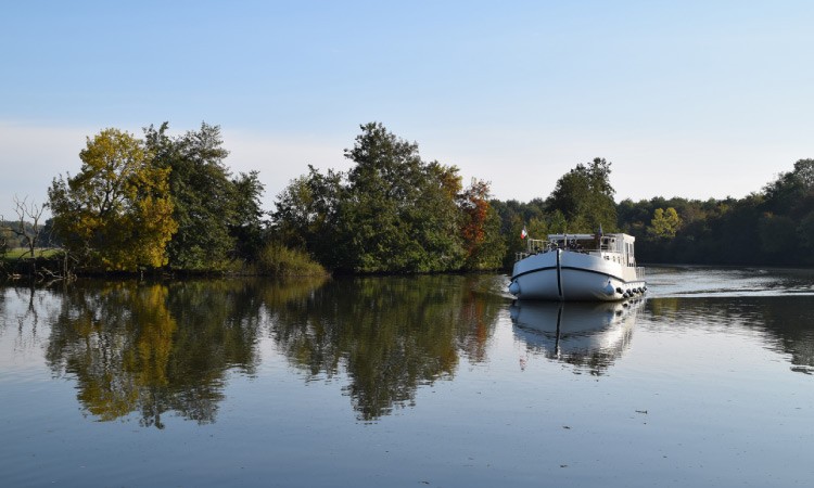 Mini croisière de 1h en bateau le long de la Deule