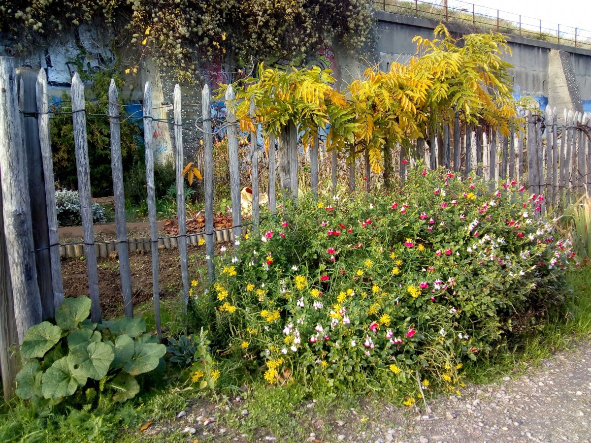 Marche potagers Belvédère