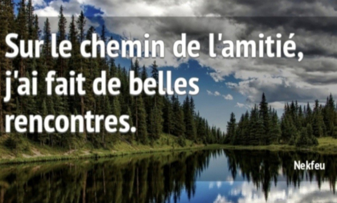 Réunion d'information sur l'association AFS