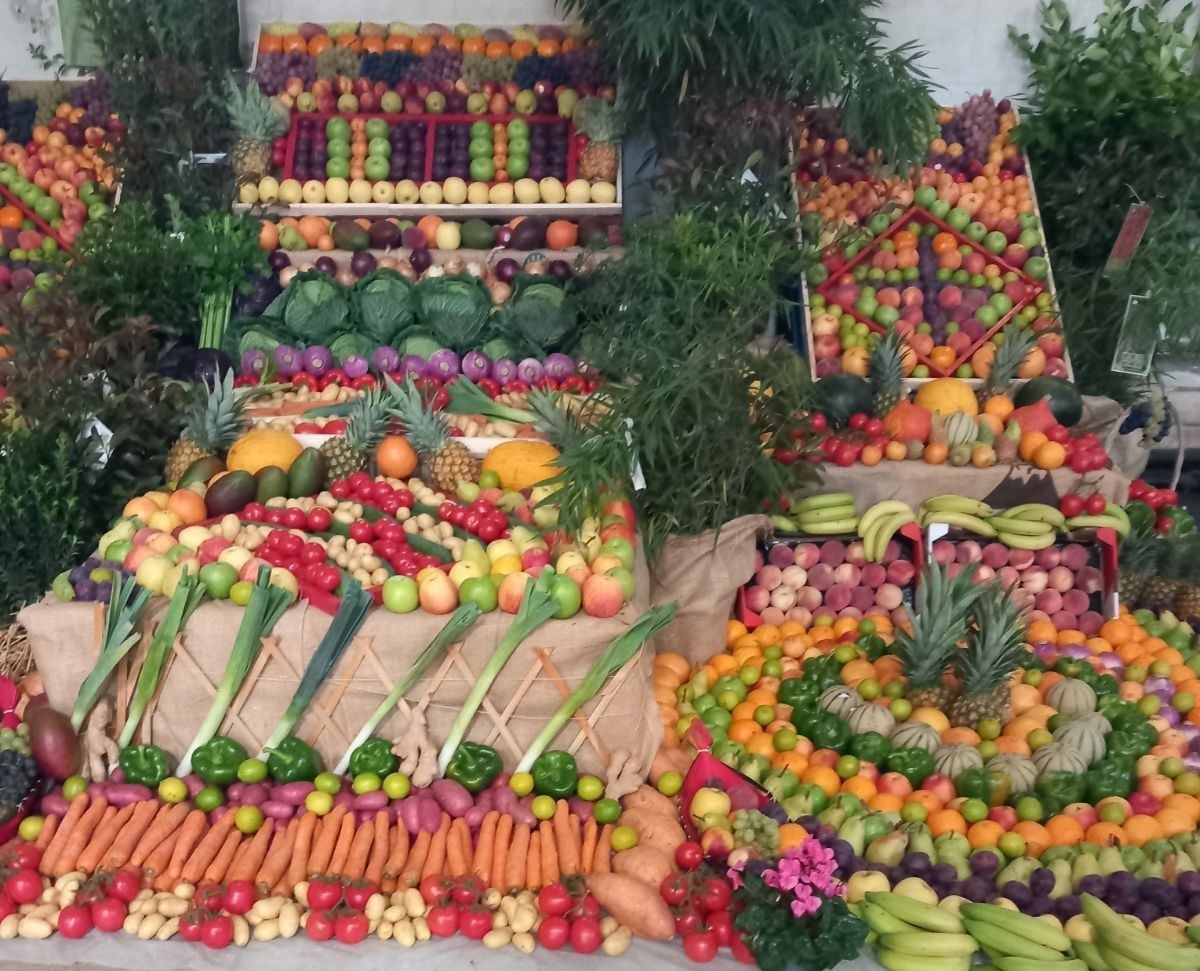 Fête des jardiniers St Fiacre EXPO
