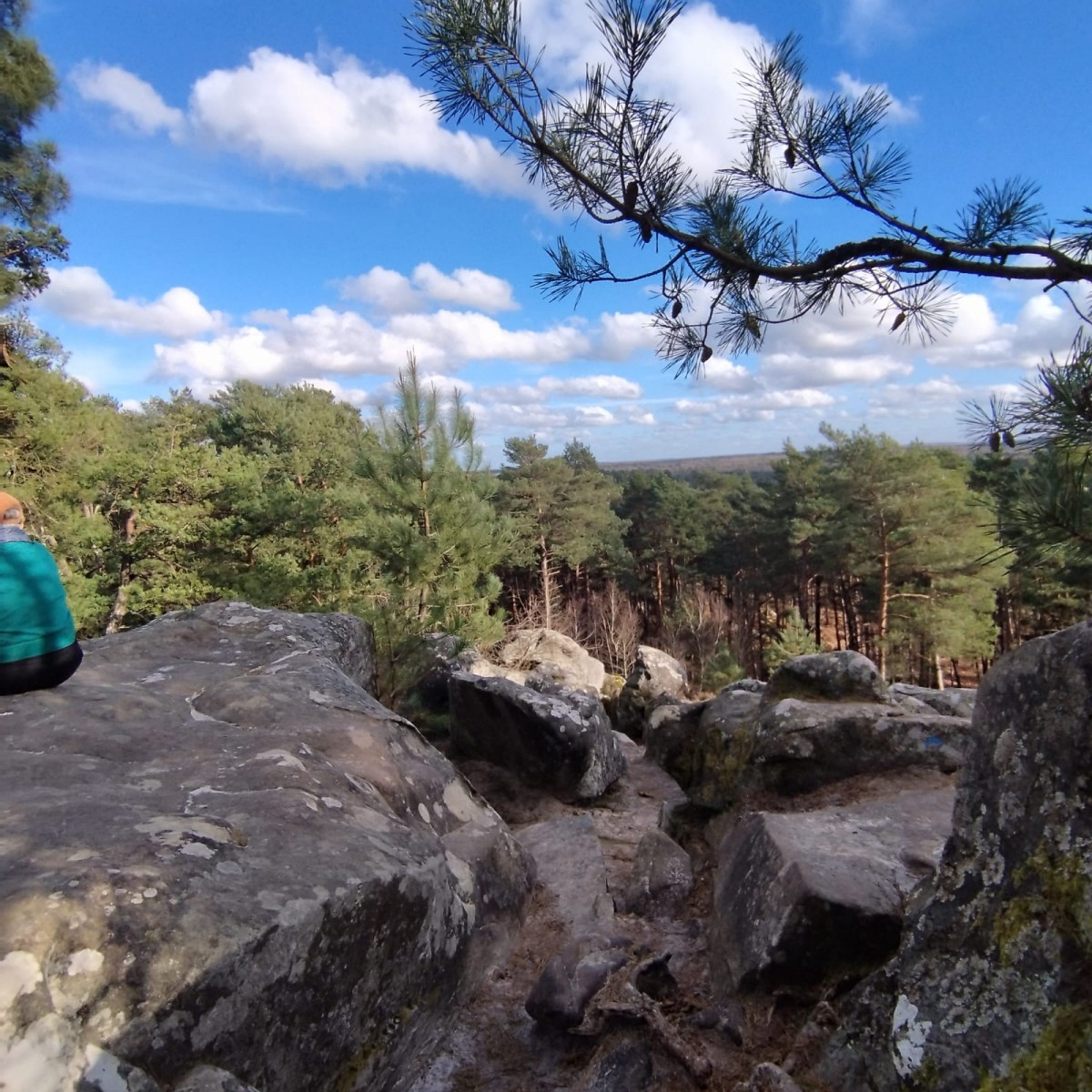 RANDO FORET DE FONTAINEBLEAU