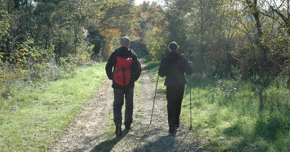 Randonnée pédestre Landes le Gaulois