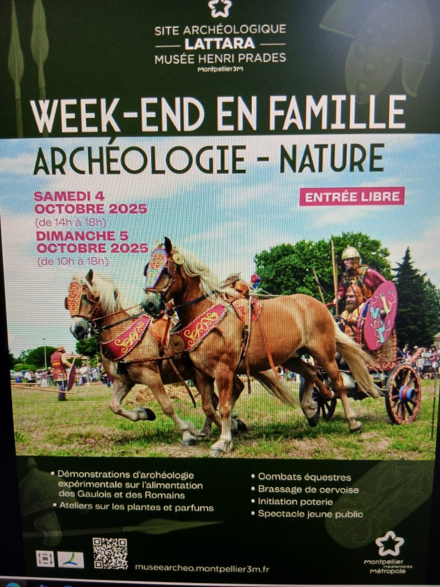 Site archéologique de lattes