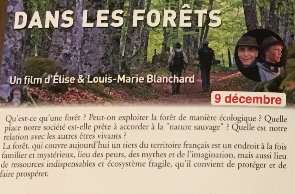 Conférence sur les pays du monde, dans les forêts..
