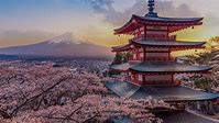 Vernissage festif : l'art du Japon