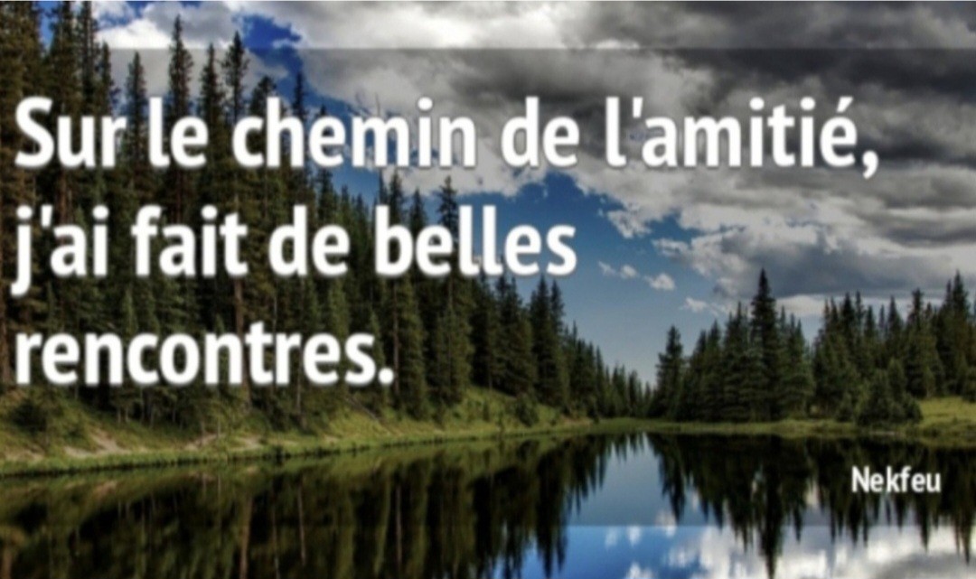 Réunion d'information sur l'association AFS