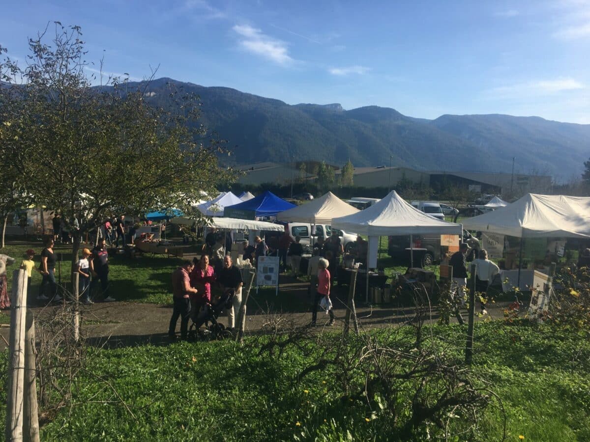 MARCHE DE TERROIR VINAY