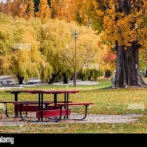 Découverte de l'AFS : Solos, vous avez dit Solo?