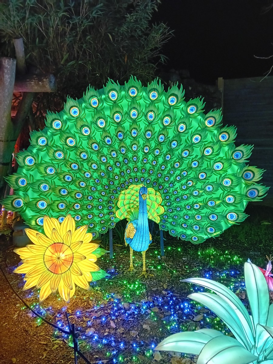Luminescences