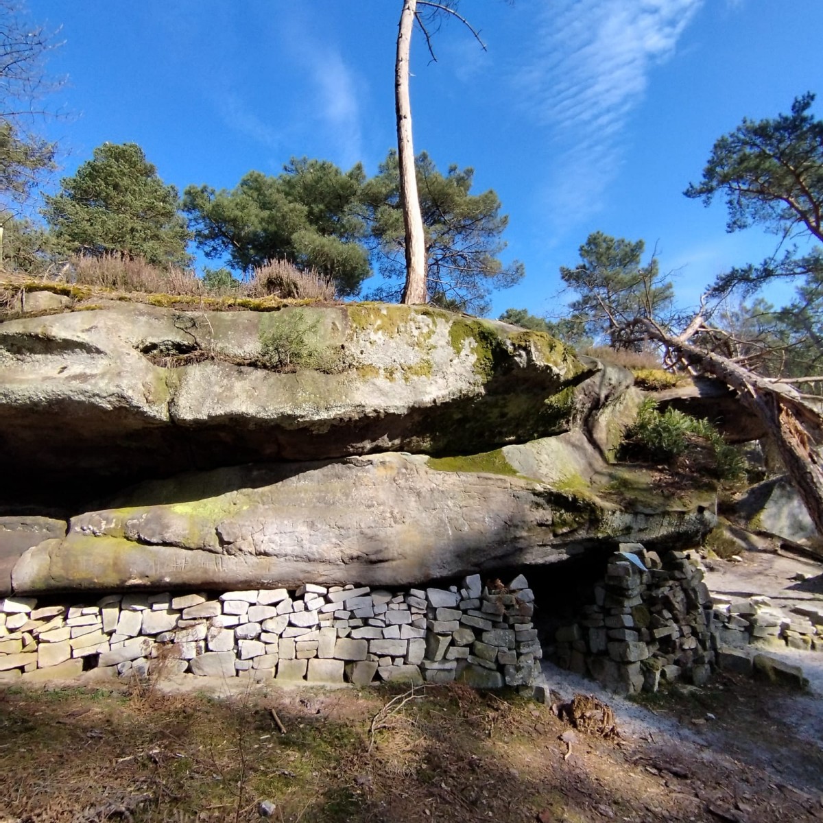 RANDO FORET DE FONTAINEBLEAU
