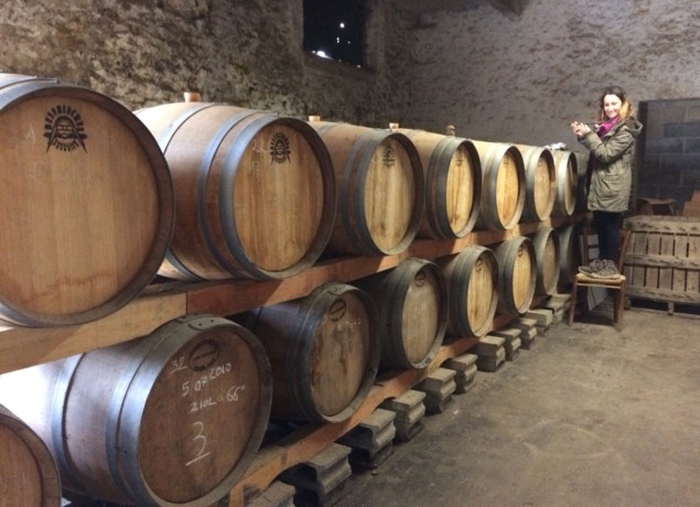 visite guidée et dégustation de la cidrerie