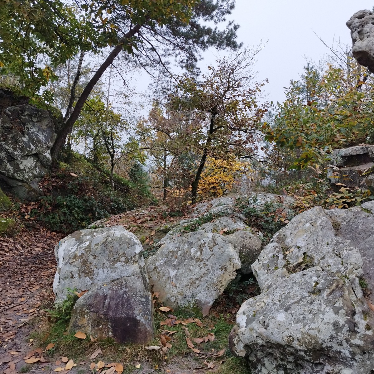 RANDO BOURON MARLOTTE