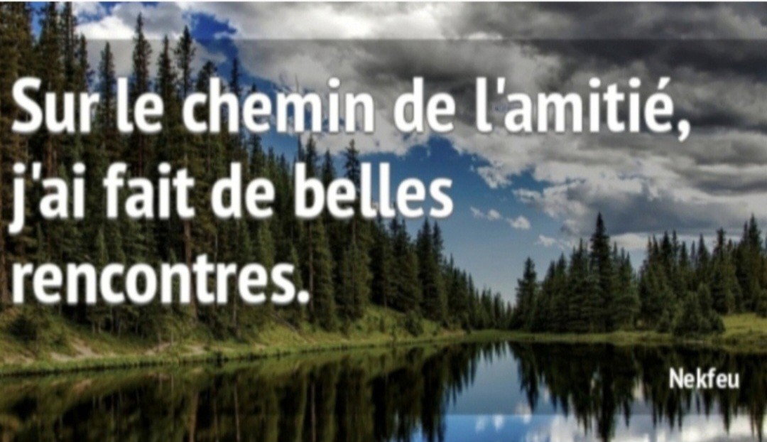 Réunion d'information sur l'association AFS