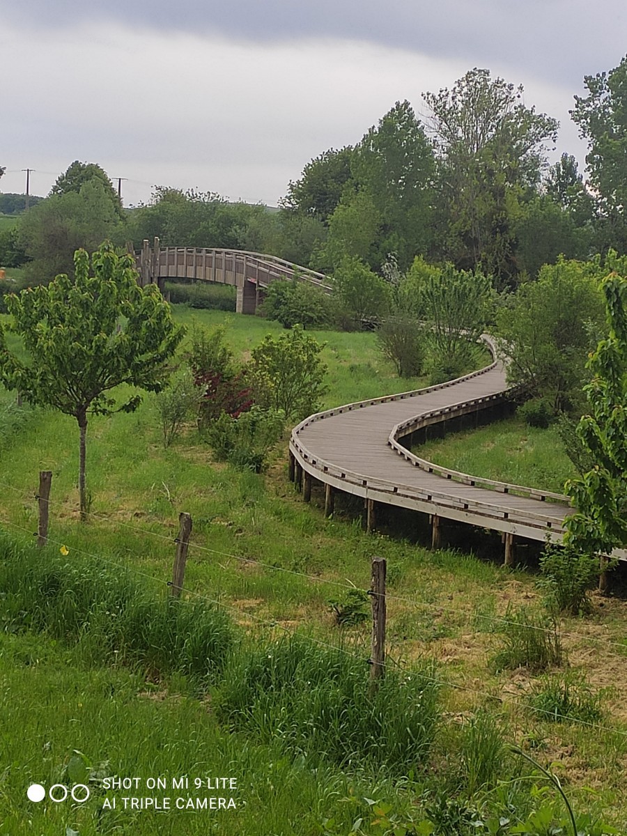 Balade Soignolles en Brie