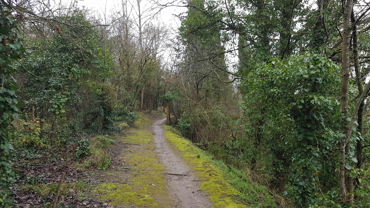 Marche 10 km Les Hauts de l'Hermitage