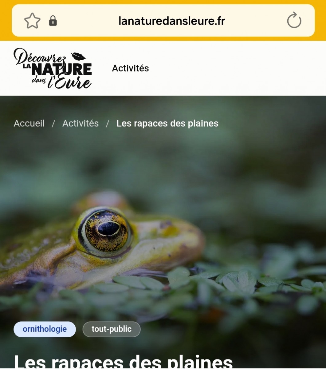 Les rapaces des plaines