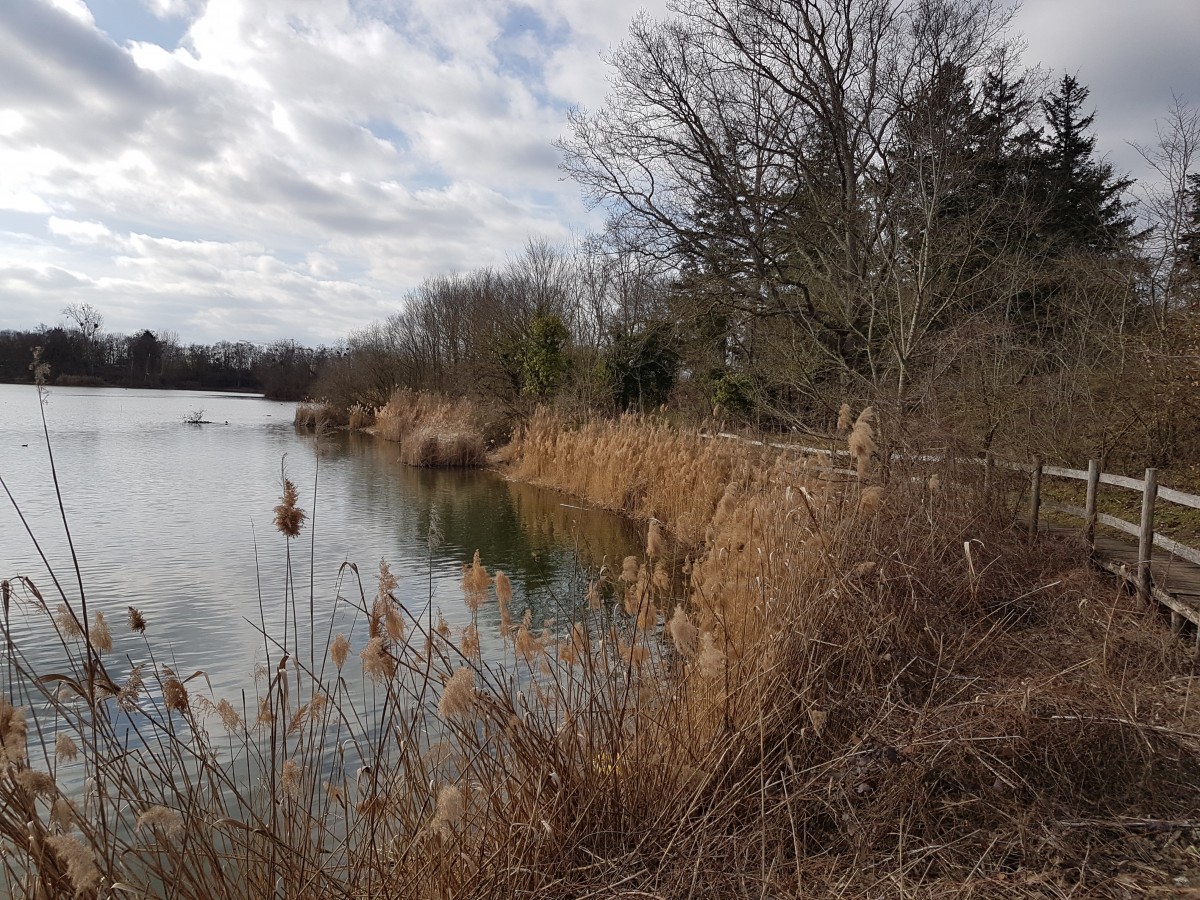 Marche 10 km De l'étang de Corra